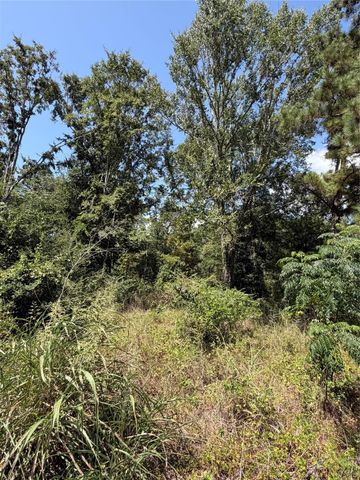 175 Hanson Road, Onalaska, TX 77360