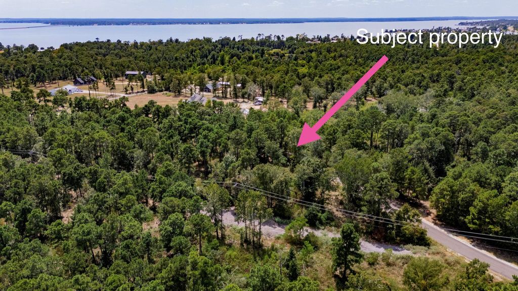 175 Hanson Road, Onalaska, TX 77360