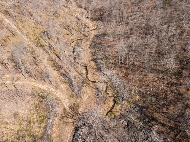 635 Cane Creek Rd, Hohenwald, TN 38462