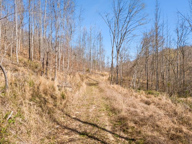 635 Cane Creek Rd, Hohenwald, TN 38462