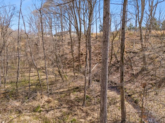 635 Cane Creek Rd, Hohenwald, TN 38462