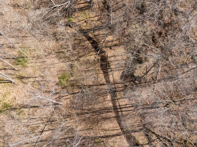 635 Cane Creek Rd, Hohenwald, TN 38462