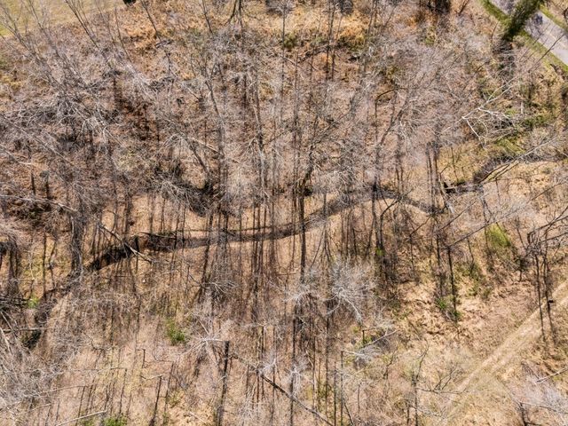 635 Cane Creek Rd, Hohenwald, TN 38462