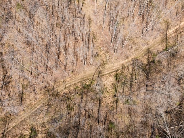 635 Cane Creek Rd, Hohenwald, TN 38462