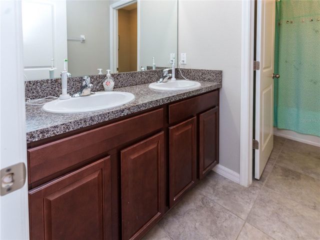 4321 GLOBE THISTLE DRIVE, Tampa, FL 33619