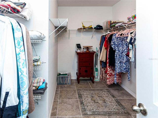 4321 GLOBE THISTLE DRIVE, Tampa, FL 33619