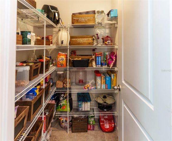 4321 GLOBE THISTLE DRIVE, Tampa, FL 33619