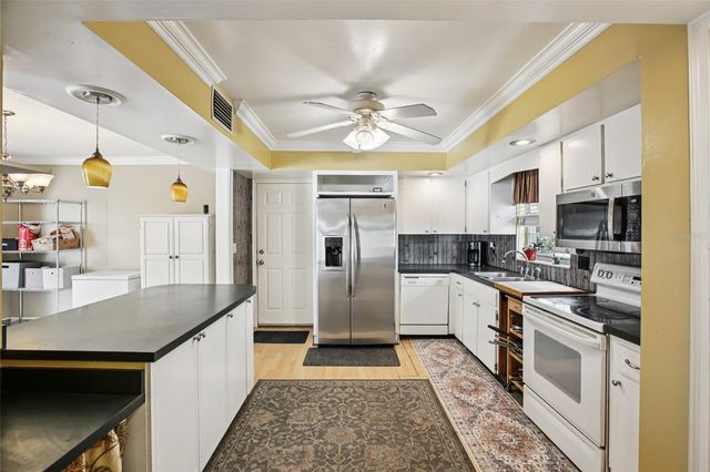 1101 TERRA MAR DRIVE, Tampa, FL 33613