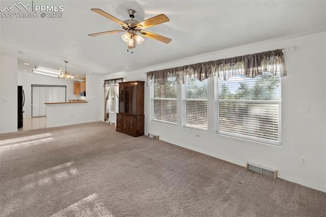 46 Kingston Circle, Florissant, CO 80816