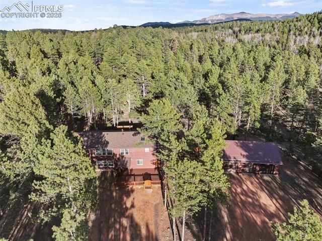 46 Kingston Circle, Florissant, CO 80816