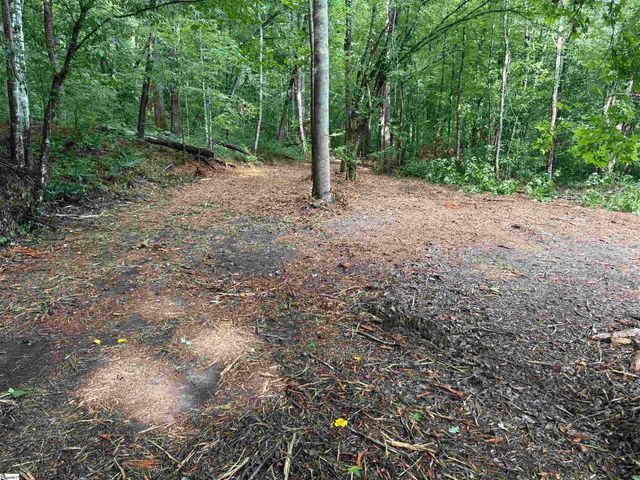 00 N Little River Road, Salem, SC 29676