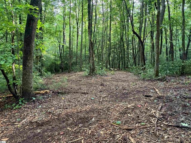00 N Little River Road, Salem, SC 29676