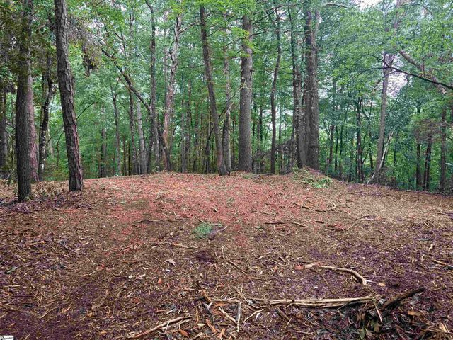 00 N Little River Road, Salem, SC 29676