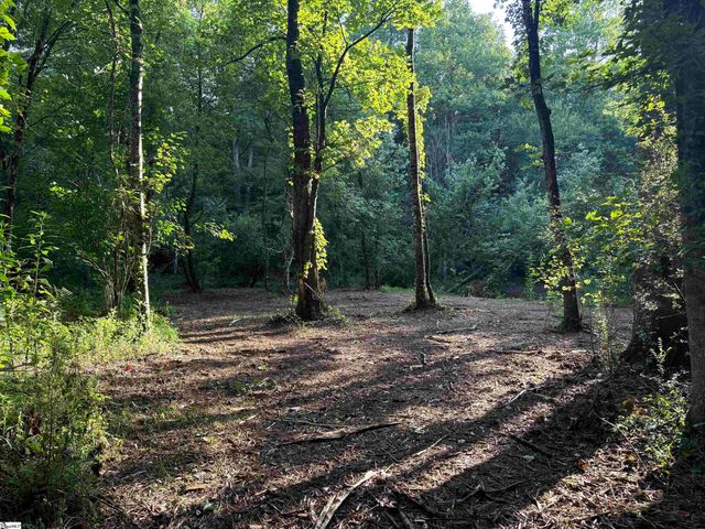 00 N Little River Road, Salem, SC 29676