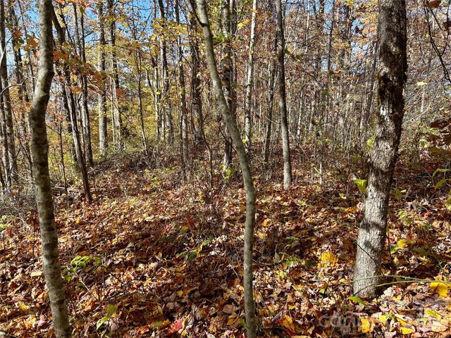 0 Owle View 30, Bryson City, NC 28713