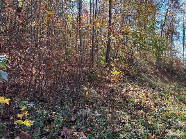 0 Owle View 30, Bryson City, NC 28713