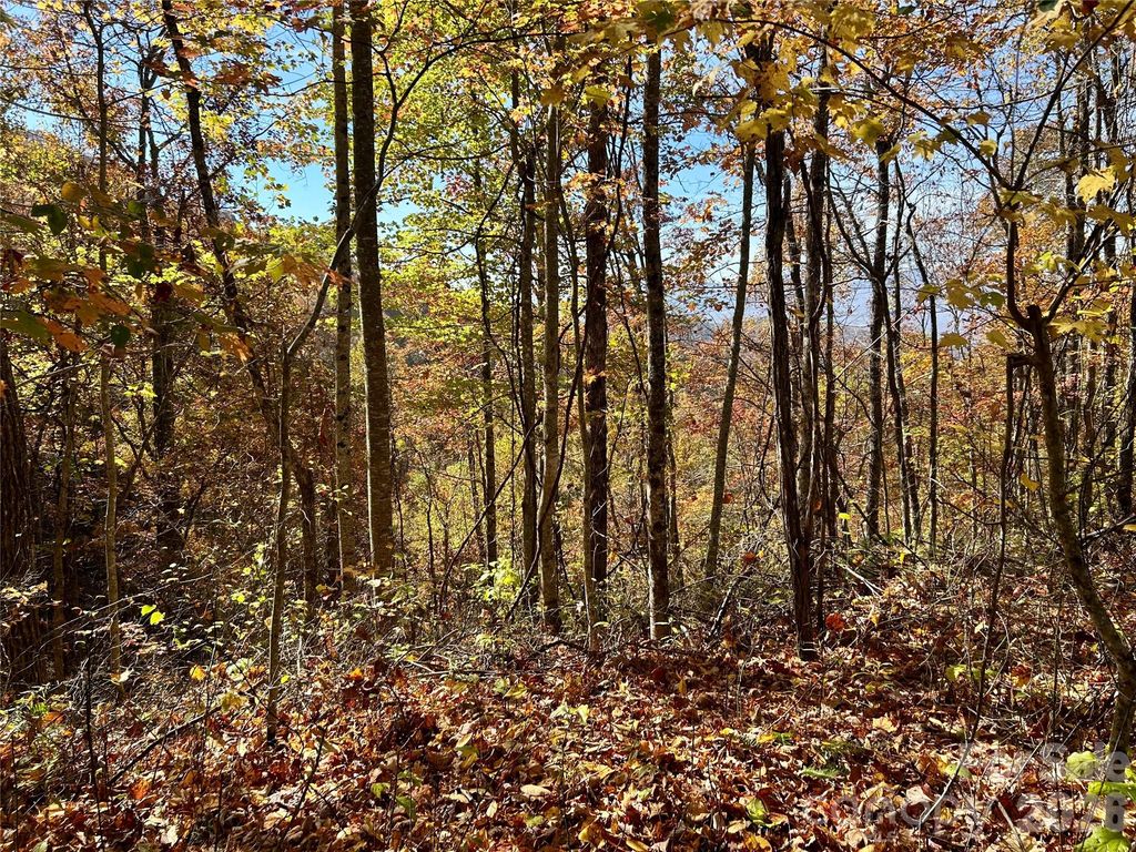 0 Owle View 30, Bryson City, NC 28713