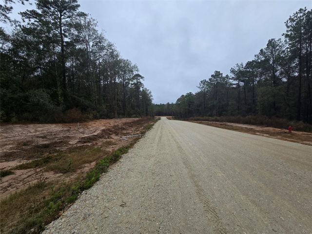 142 Splendid Road, New Waverly, TX 77358