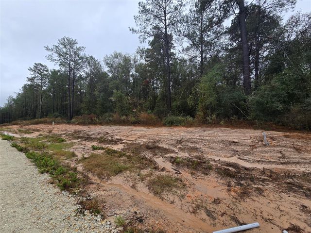 142 Splendid Road, New Waverly, TX 77358