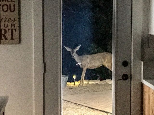 33303 Lake View Drive, Arrowbear, CA 92382