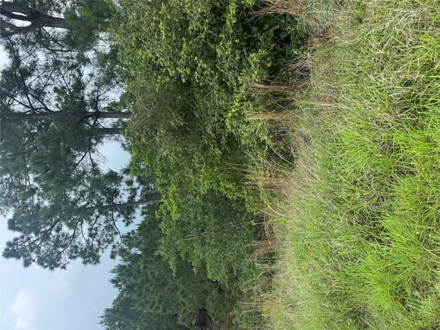 Lot 1614 Kaanapali LN, Bastrop, TX 78602