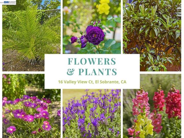 16 Valley View Ct, El Sobrante, CA 94803