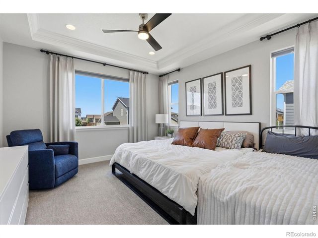 5502 Shady Oaks Drive, Windsor, CO 80528