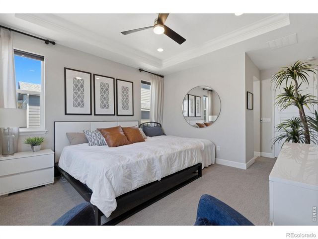 5502 Shady Oaks Drive, Windsor, CO 80528