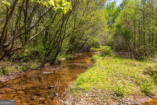 302 Pine Lake Drive, Cumming, GA 30040