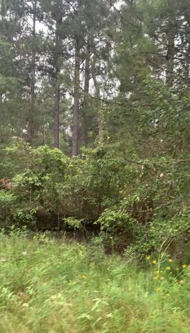 38452 Park View Drive, Hempstead, TX 77445