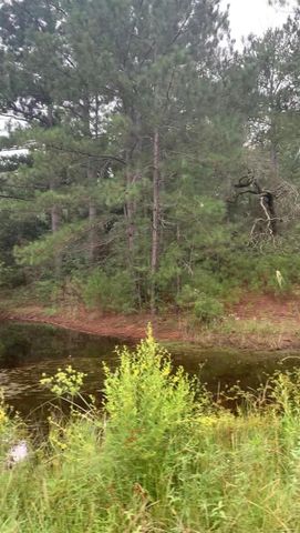 38452 Park View Drive, Hempstead, TX 77445