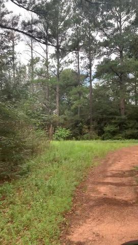 38452 Park View Drive, Hempstead, TX 77445