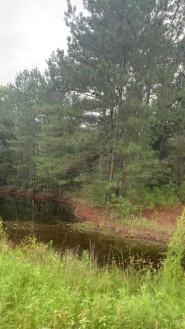 38452 Park View Drive, Hempstead, TX 77445