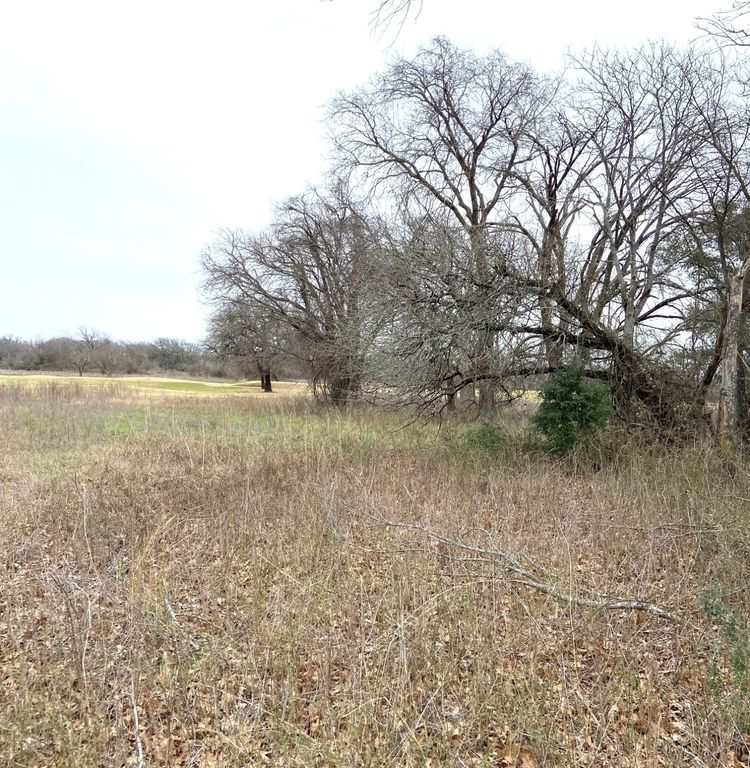 27205 Meadowmore Drive, Whitney, TX 76692