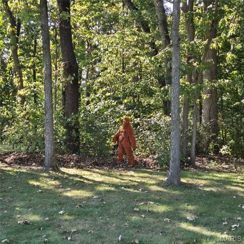 7 Fisher Lane, Greenville, IL 62246