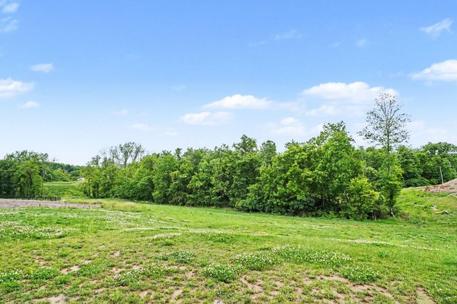 11062 Briarview Court, Independence, KY 41051