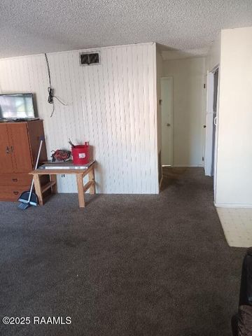 215 Lodge Drive, Lafayette, LA 70506