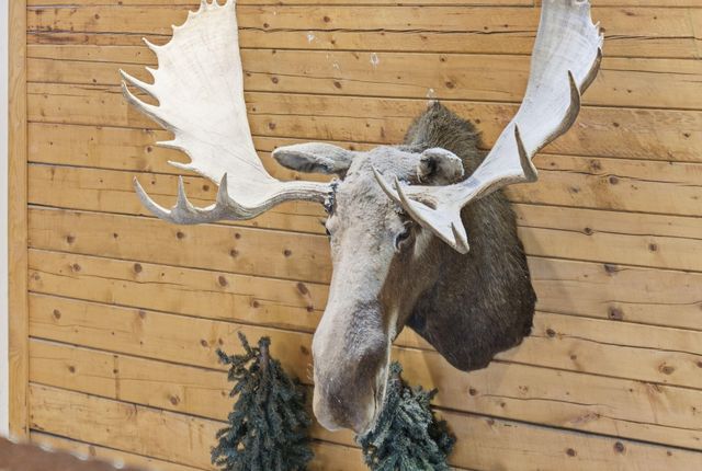 269 Oakridge Road 2, Branson, MO 65616