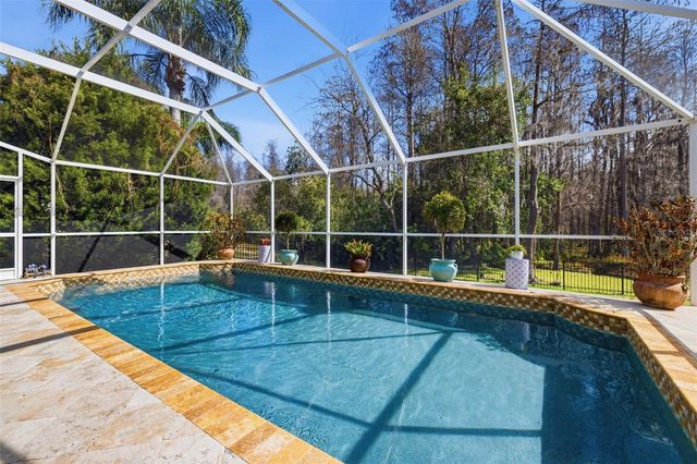 4810 MIRABELLA PLACE, Lutz, FL 33558