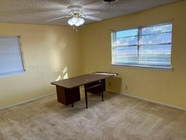 2713 JAMES LOUIS Drive, Amarillo, TX 79110