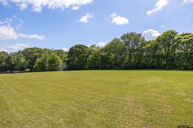 19606 Norfolk Drive, Flint, TX 75762