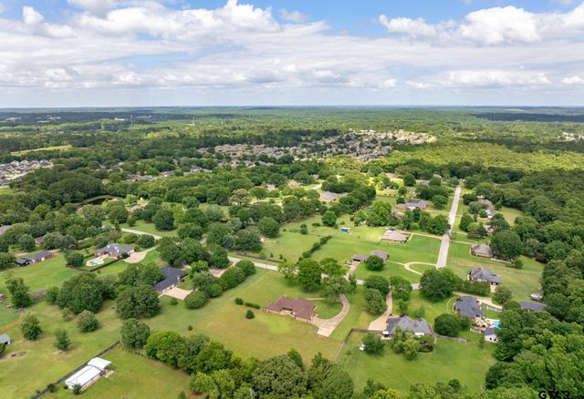 19606 Norfolk Drive, Flint, TX 75762