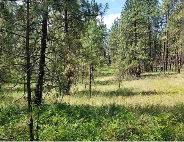 5511 W Glen Grove-Staley Rd, Deer Park, WA 99006