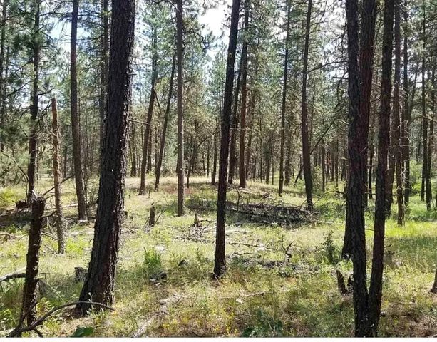 5511 W Glen Grove-Staley Rd, Deer Park, WA 99006