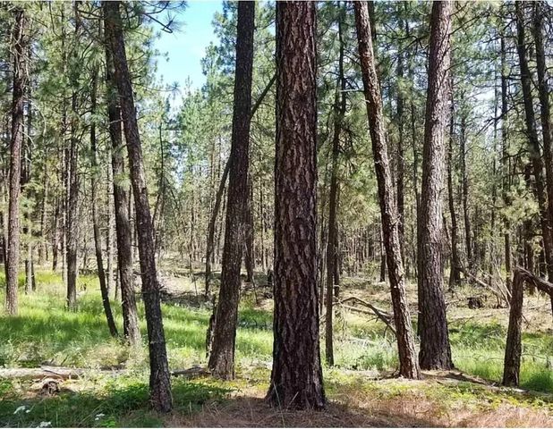 5511 W Glen Grove-Staley Rd, Deer Park, WA 99006