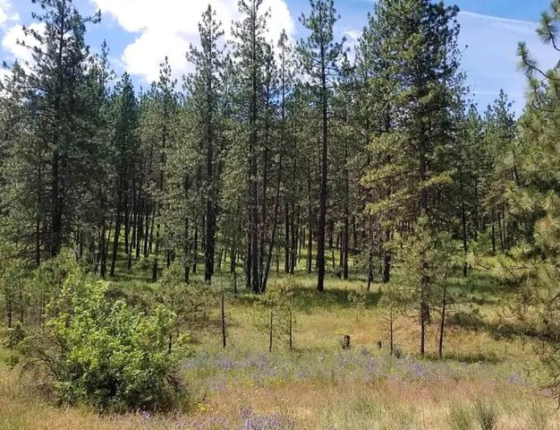 5511 W Glen Grove-Staley Rd, Deer Park, WA 99006