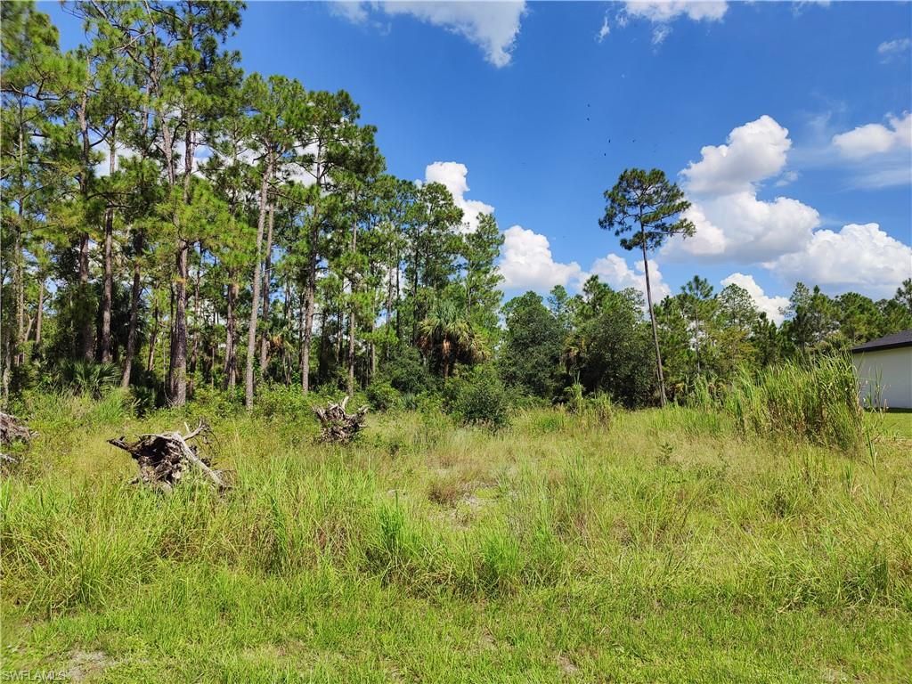 2120 McArthur AVE, Alva, FL 33920