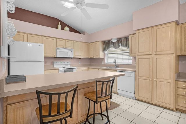 2124 BARBOSA COURT, The Villages, FL 32159