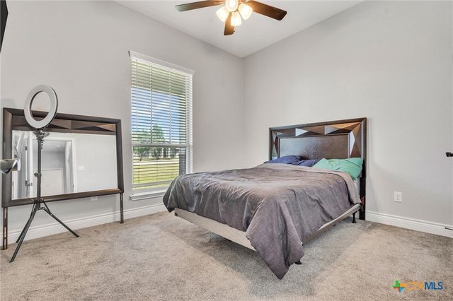 3919 Gracey Lane, Kempner, TX 76539