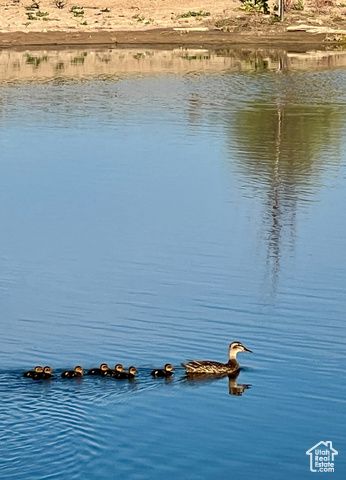 3880 S 4550 W, West Haven, UT 84401